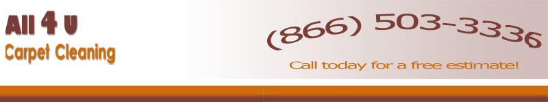 san-jose-carpet-cleaning-banner