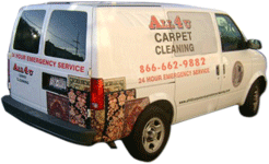 san-jose_carpet_van